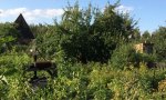 Фотография объекта