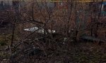 Фотография объекта