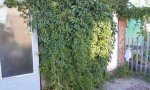 Фотография объекта