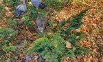 Фотография объекта