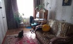 Фотография объекта