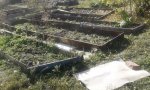 Фотография объекта