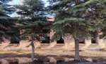 Фотография объекта