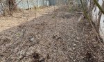 Фотография объекта