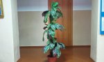 Фотография объекта