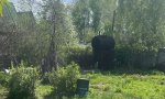 Фотография объекта