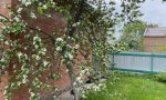 Фотография объекта