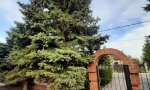 Фотография объекта