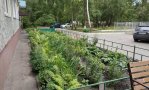 Фотография объекта