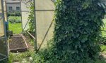 Фотография объекта