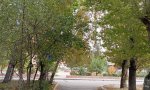 Фотография объекта