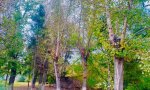 Фотография объекта