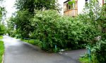 Фотография объекта